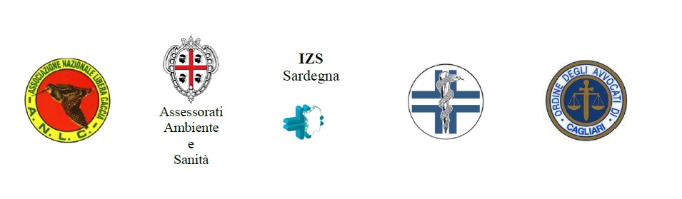 La sorveglianza passiva: finalità - benefici – normativa - giurisprudenza